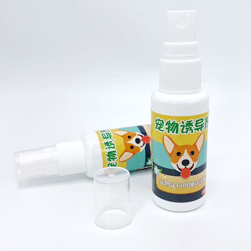 Bare Lift Instant Lift Support