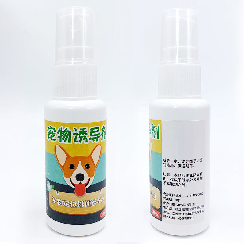 Bare Lift Instant Lift Support